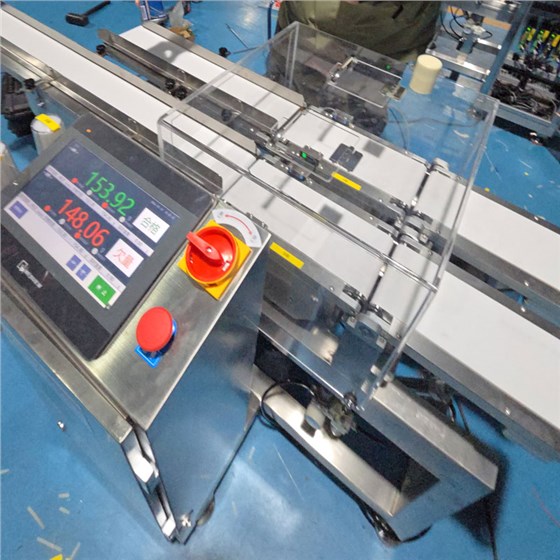 双通道在线检重秤2