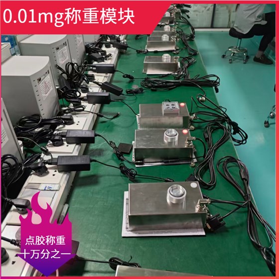 0.01mg称重模块- (1)