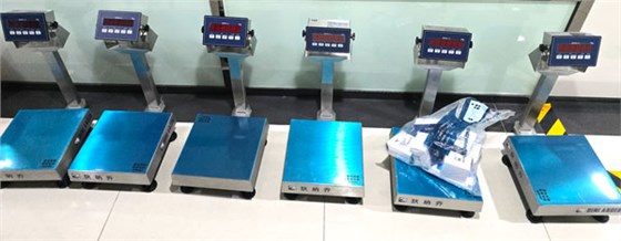 高-精度电子秤DGT20