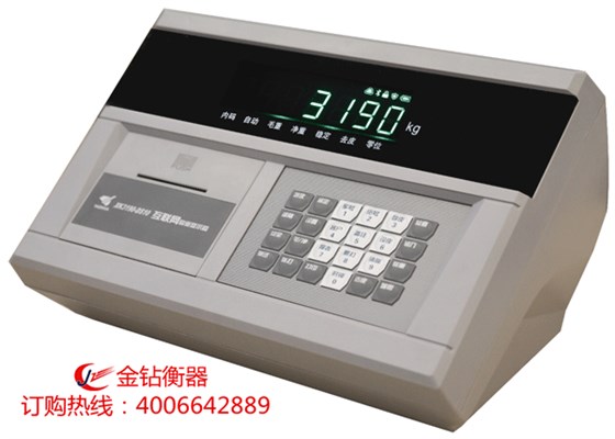 物联网仪表XK3190-DS10