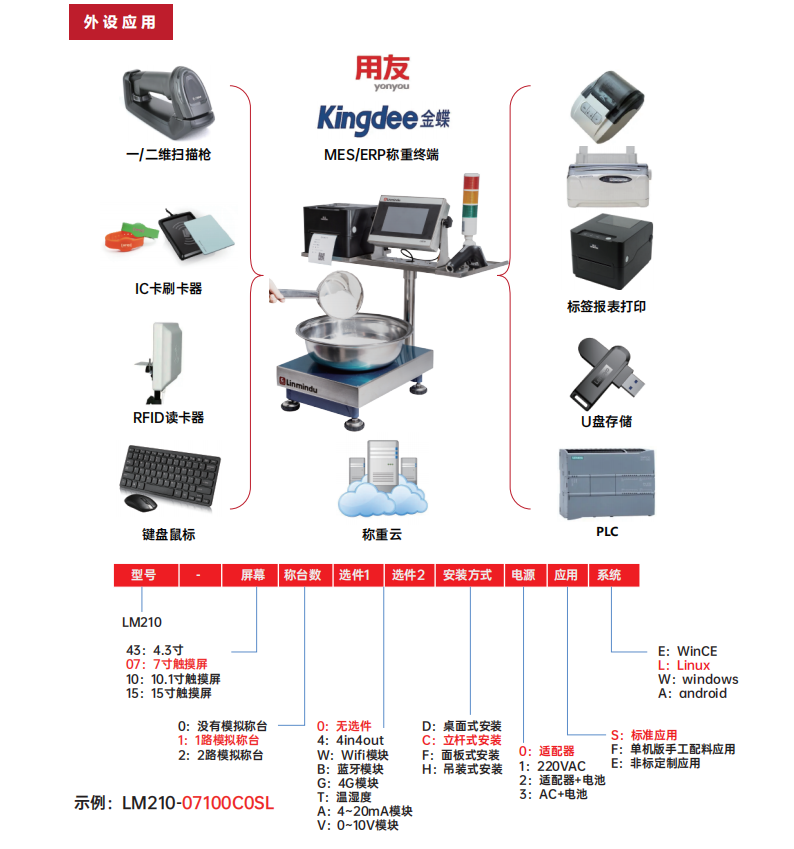 JZ-LM210智能仪表 (2)