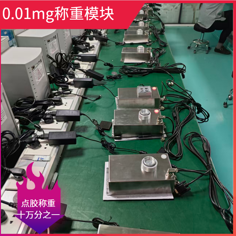 0.01mg称重模块- (1)