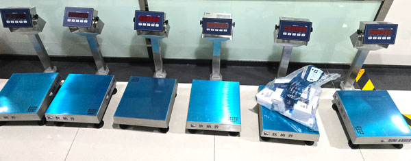 高-精度电子秤DGT20