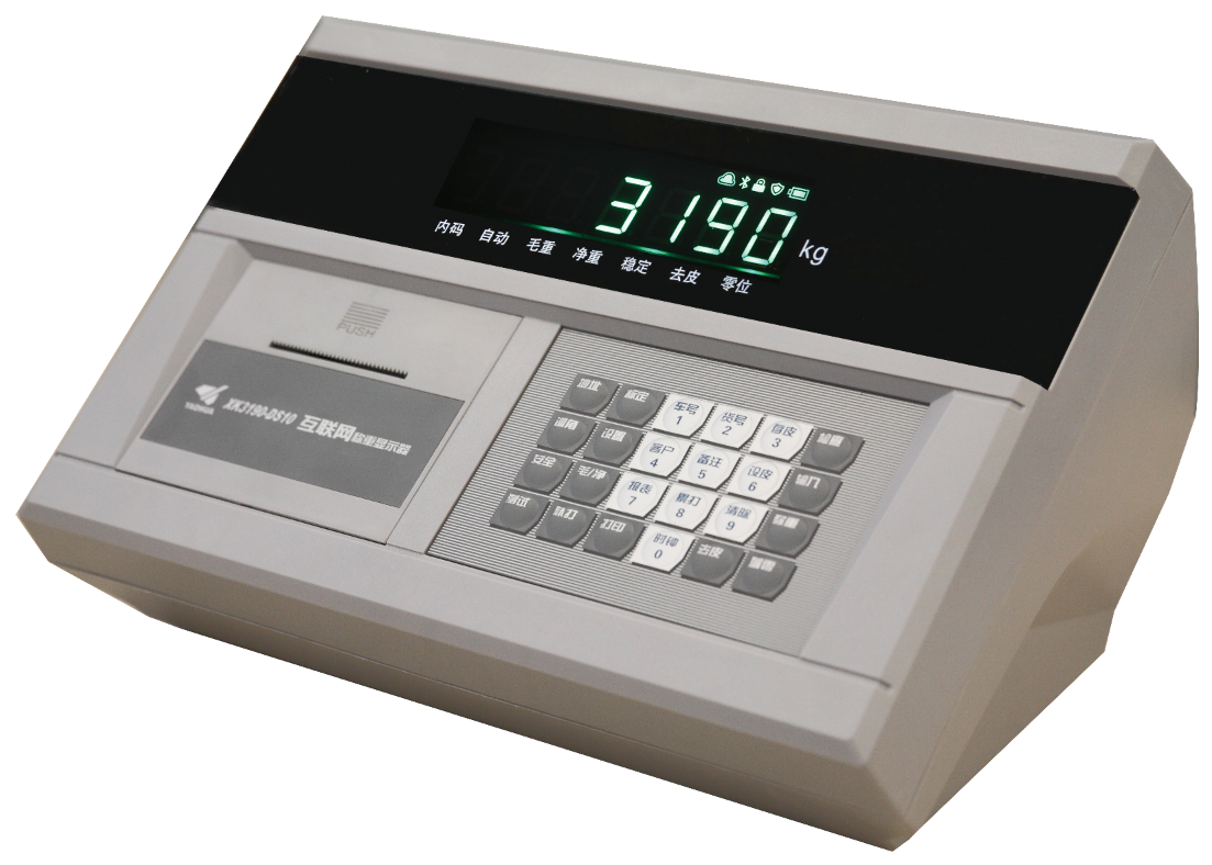 物联网地磅仪表XK3190-DS10